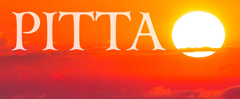 pitta