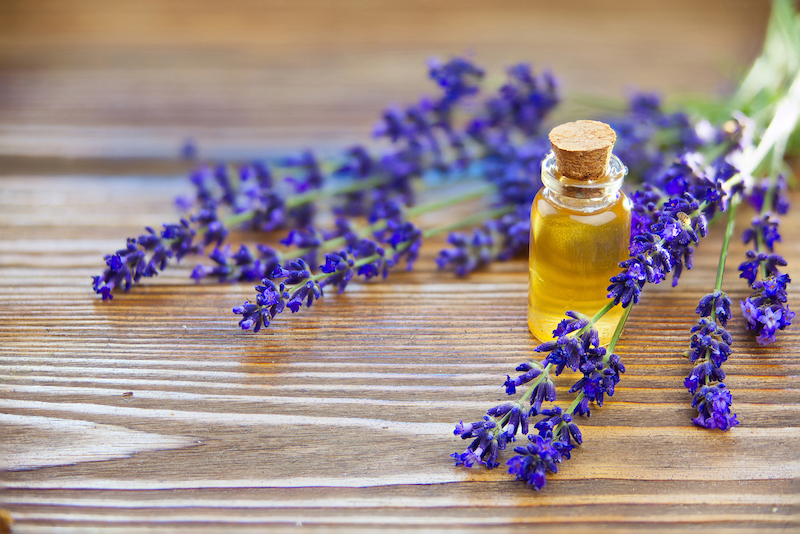 olio essenziale lavanda